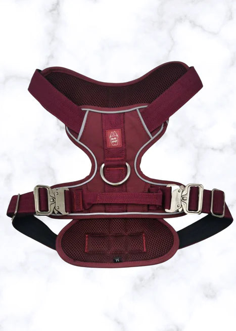 Kong sales medium harness