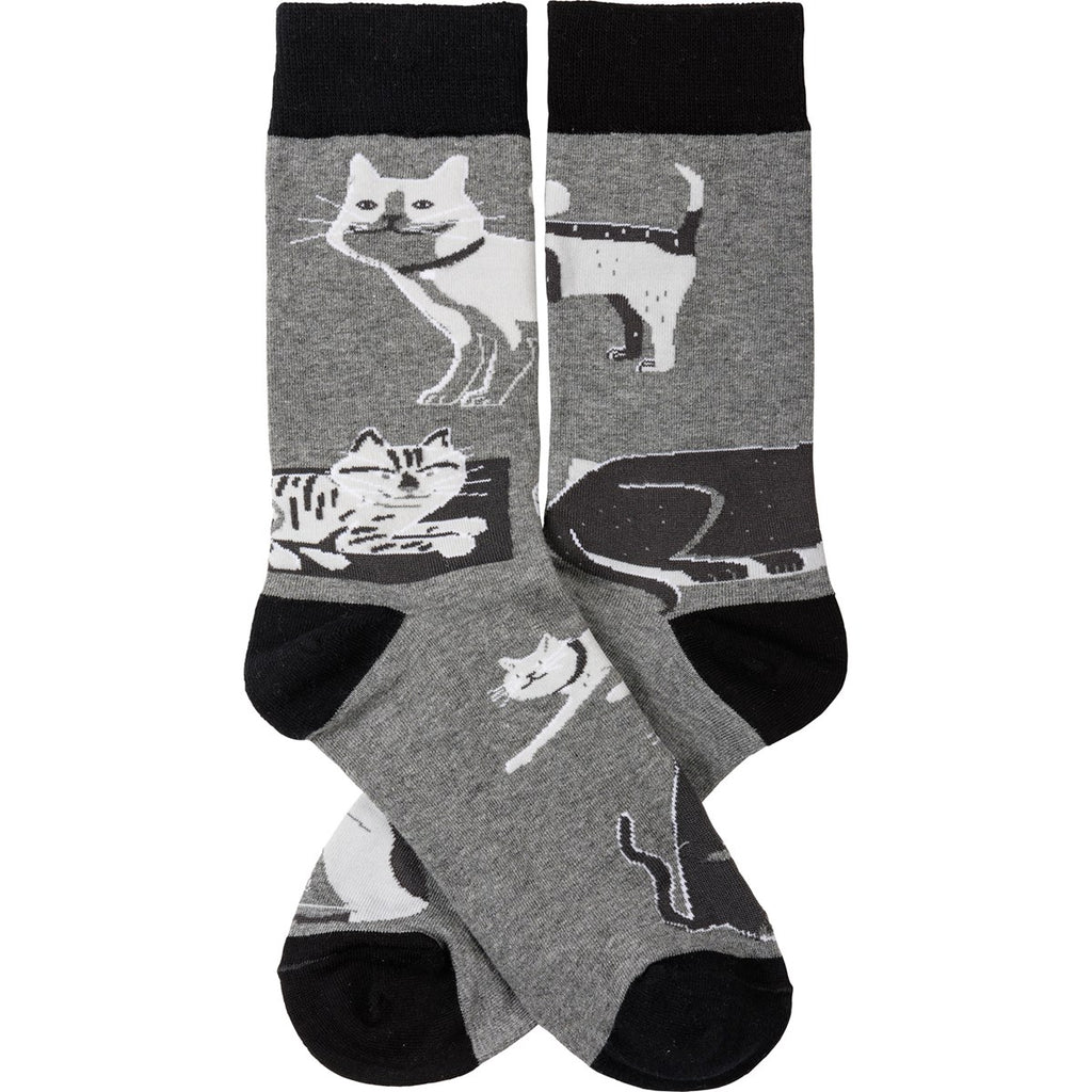Socks - Cat & Dog