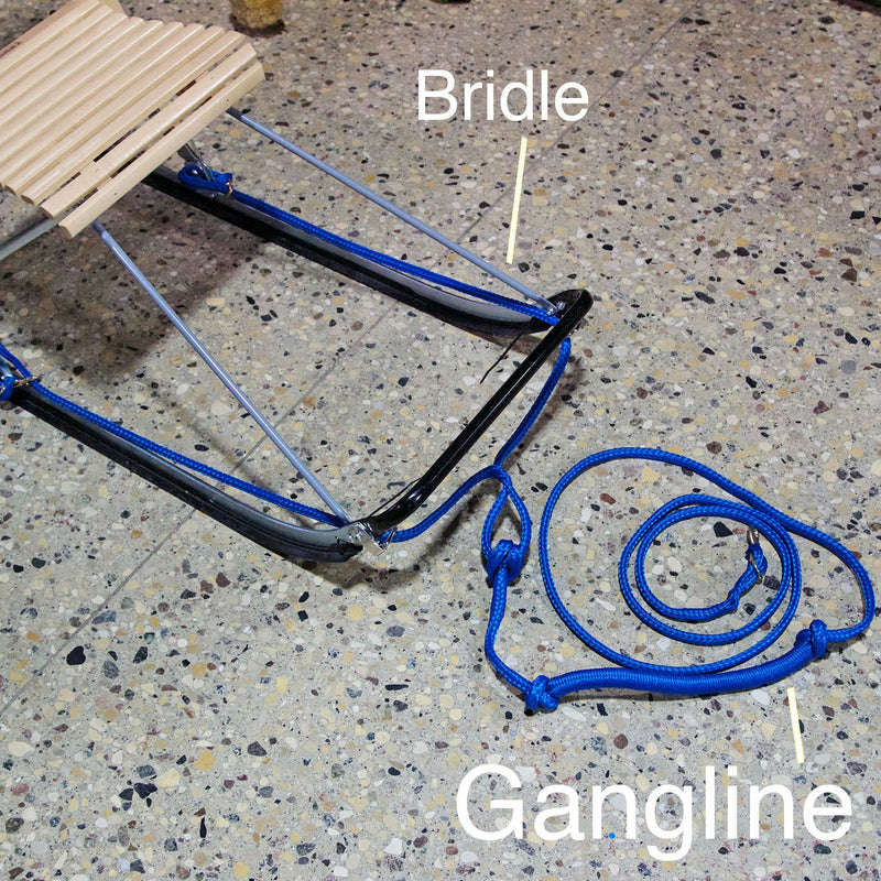 Gangline 1 Dog w Bungee 10 CanvasbackPets