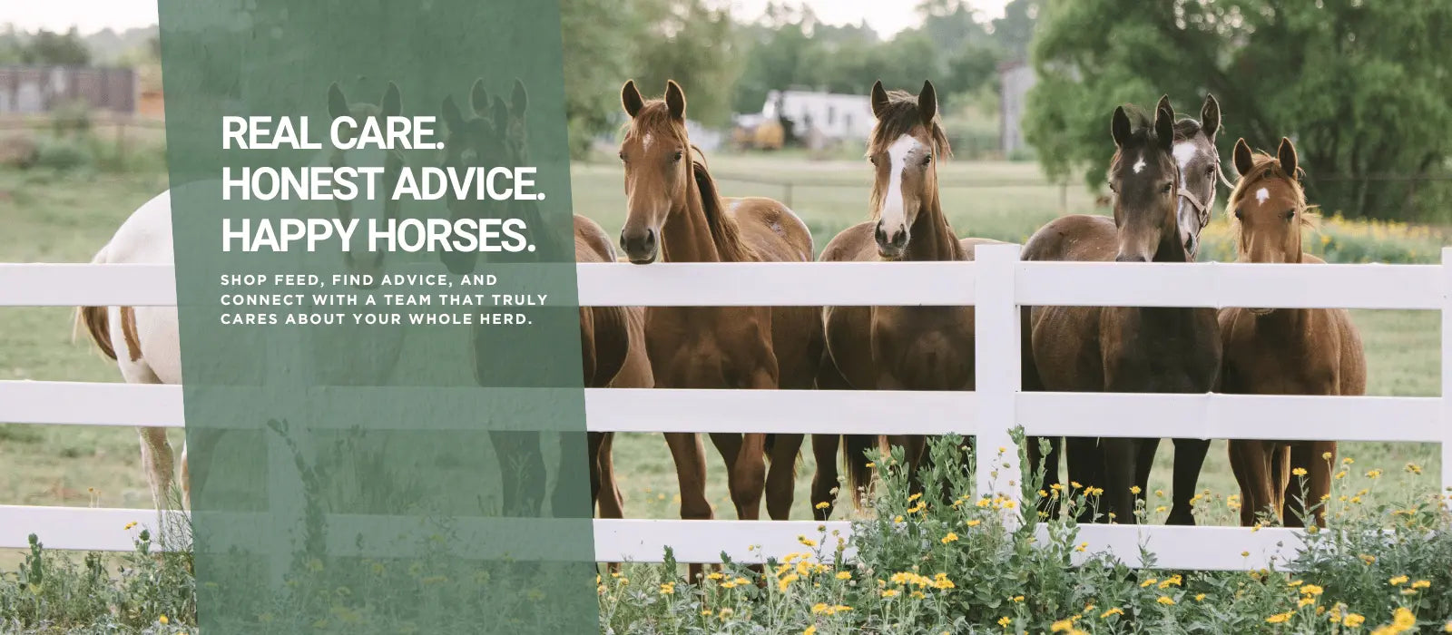 November Nutrition Seminars