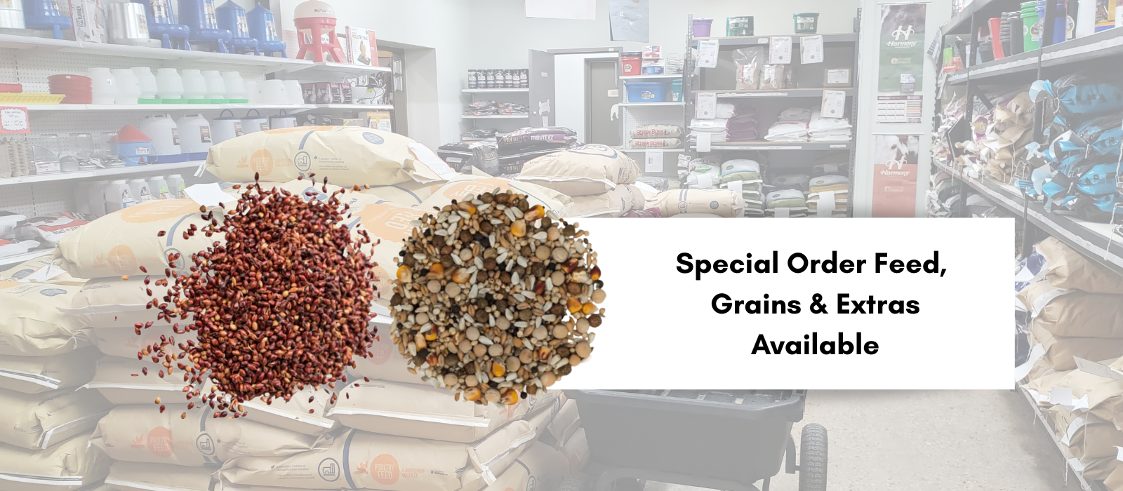 Special Order Feeds & Grains in Manitoba at Canvasback Pet Supplies