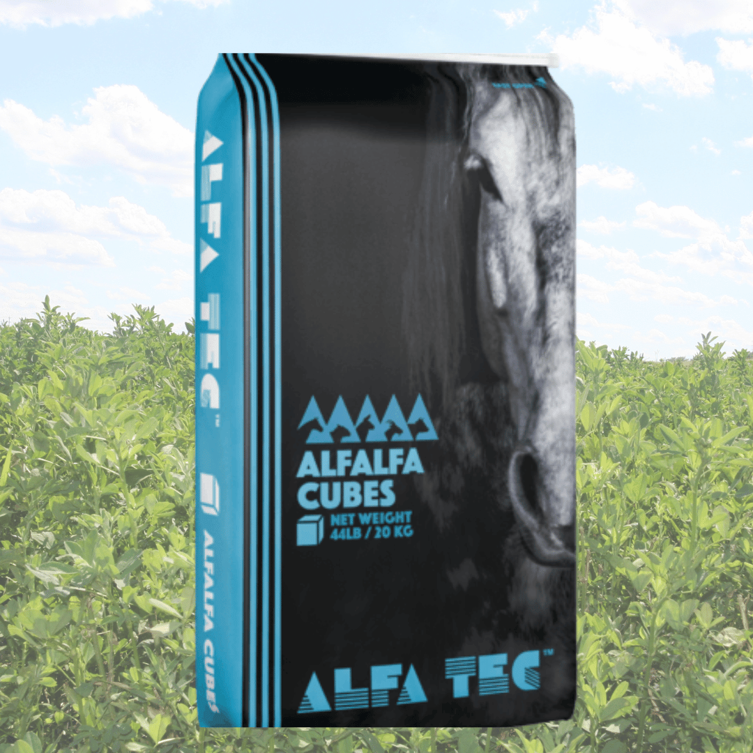 Afla Tec Hay Cubes & Pellets At Canvasback Pet Supplies in Manitoba