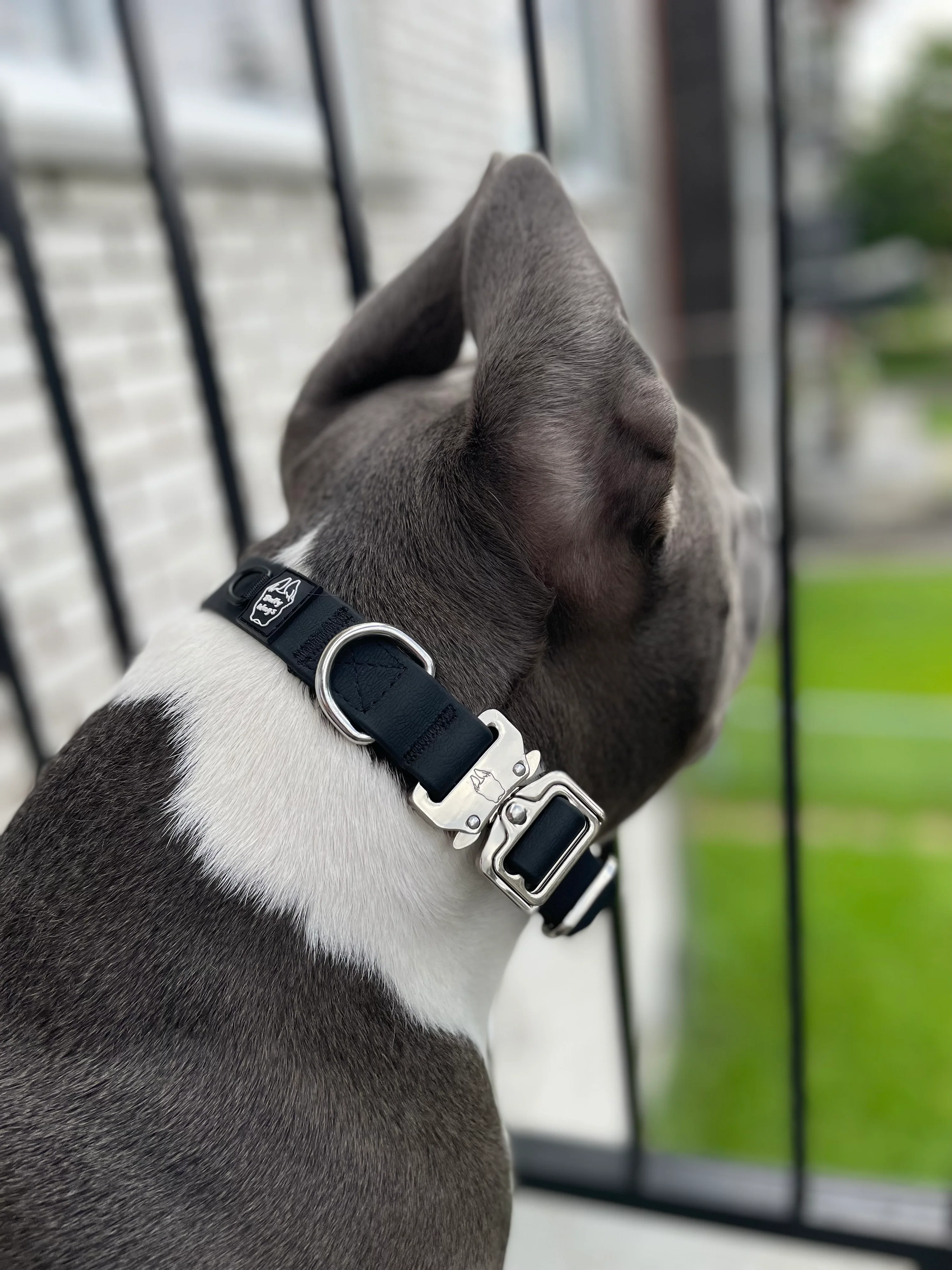 BULLY WAG 1" BIOTHANE COLLAR