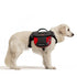 EzyDog Summit Backpack Medium
