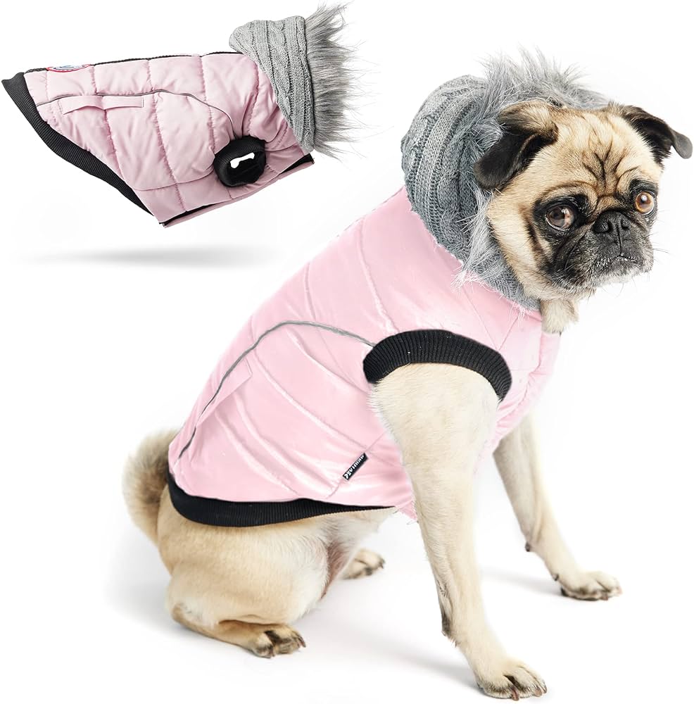 Dog Coats & Boots CanvasbackPets