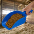 Plastic Feed Scoop 3 Qt