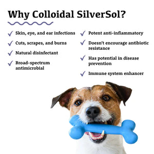 Collodial Silver 50ml