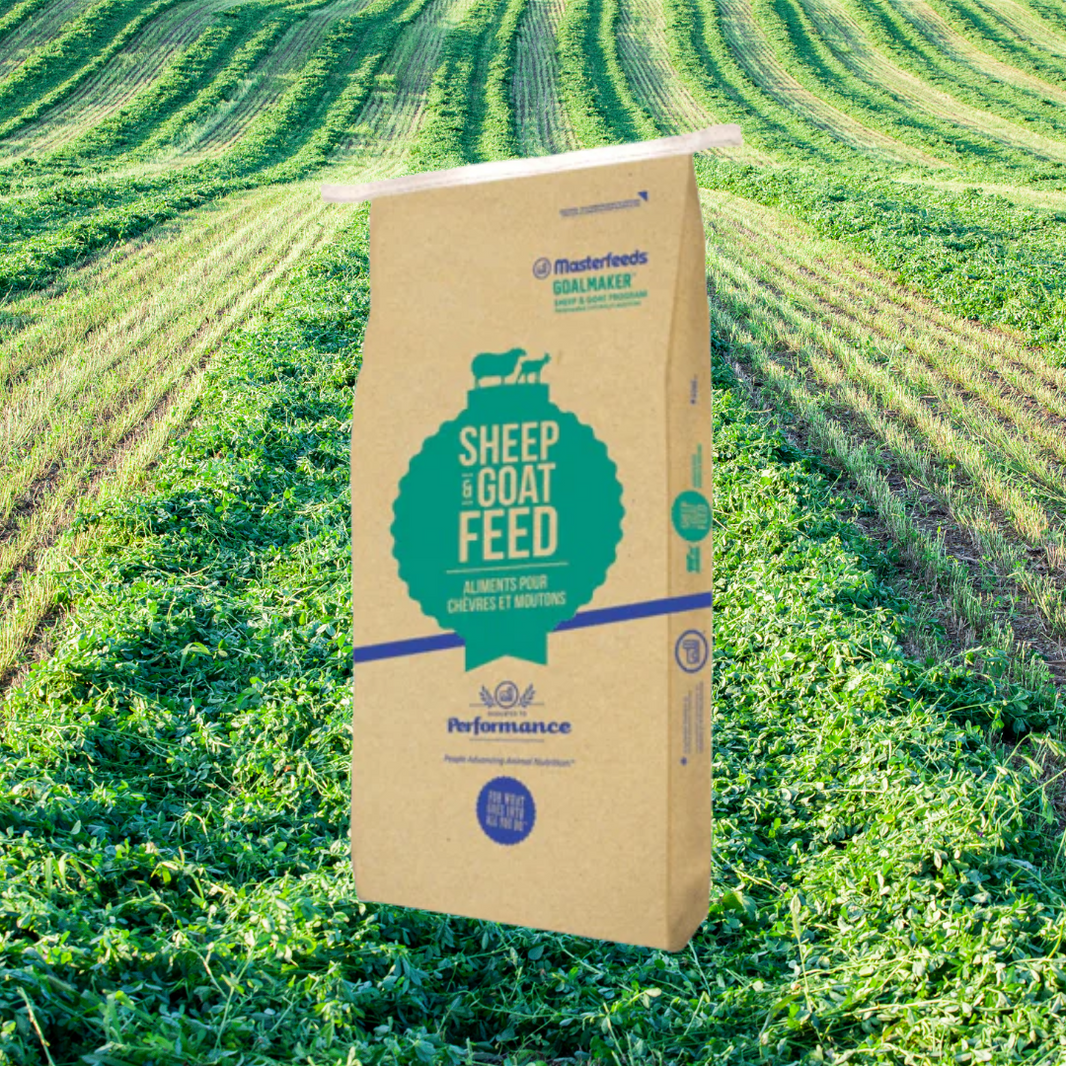 Masterfeeds at Canvasback – CanvasbackPets