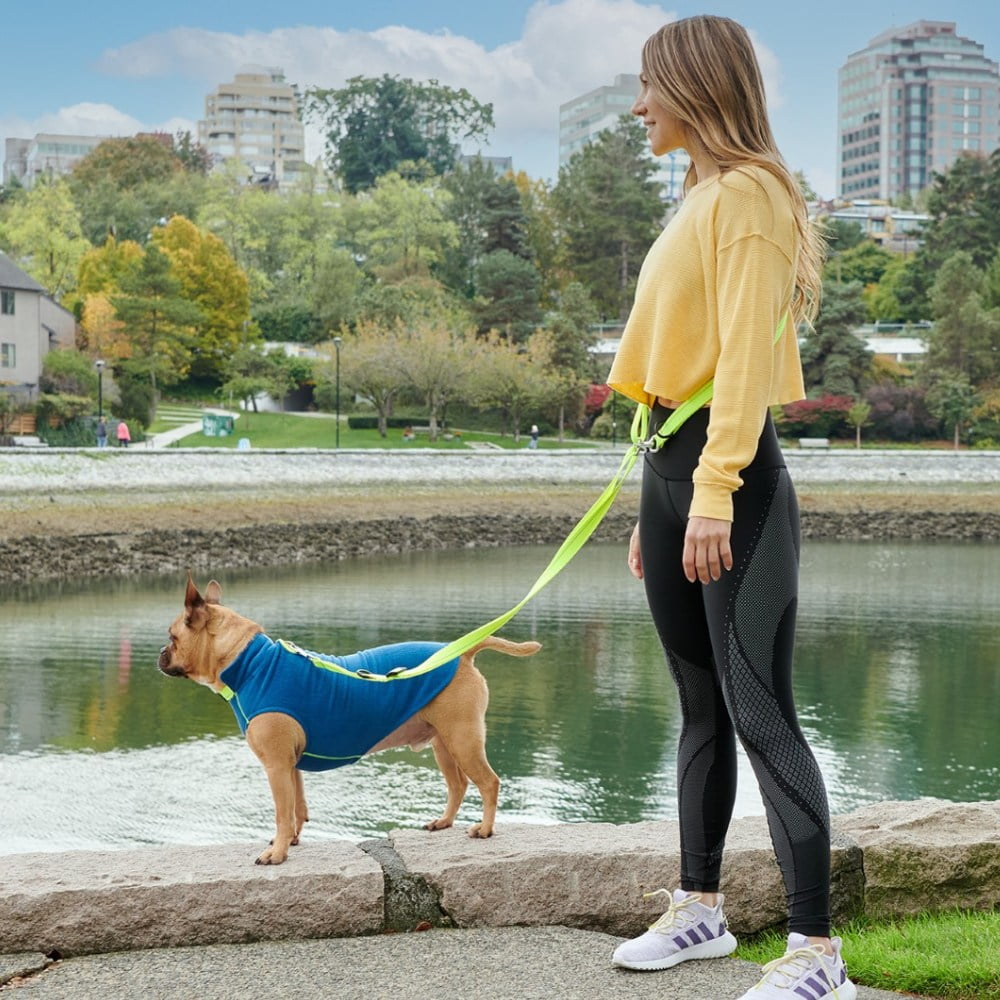 Primary Active Leash 1" X 8' ADJUSTABLE