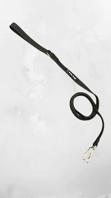 BULLY WAG BIOTHANE LEASH