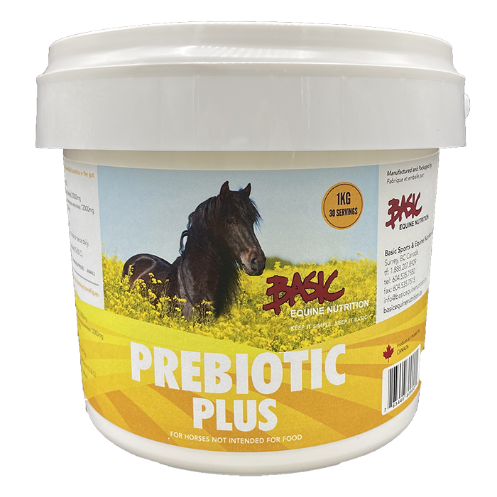 Pre-Biotic Plus 1kg