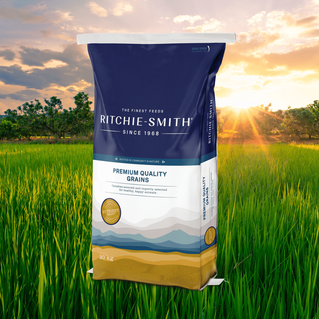 RS Beet Pulp Pellets 20kg