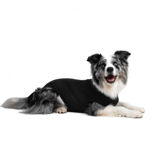 Suitical Dog Recovery Suit MD+ Black