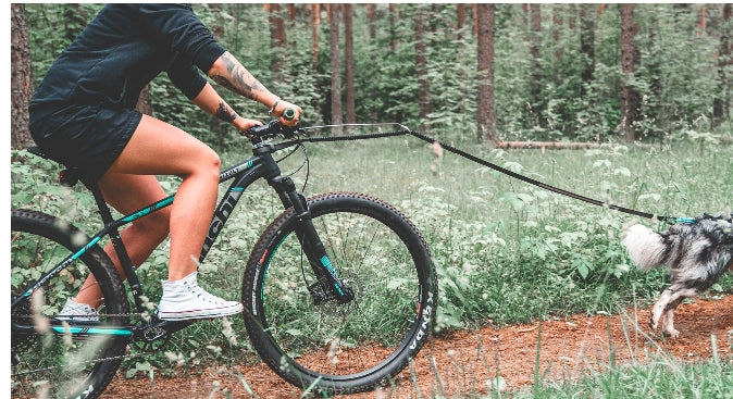 Non-Stop Dog Wear Bike Antenna Bikejoring