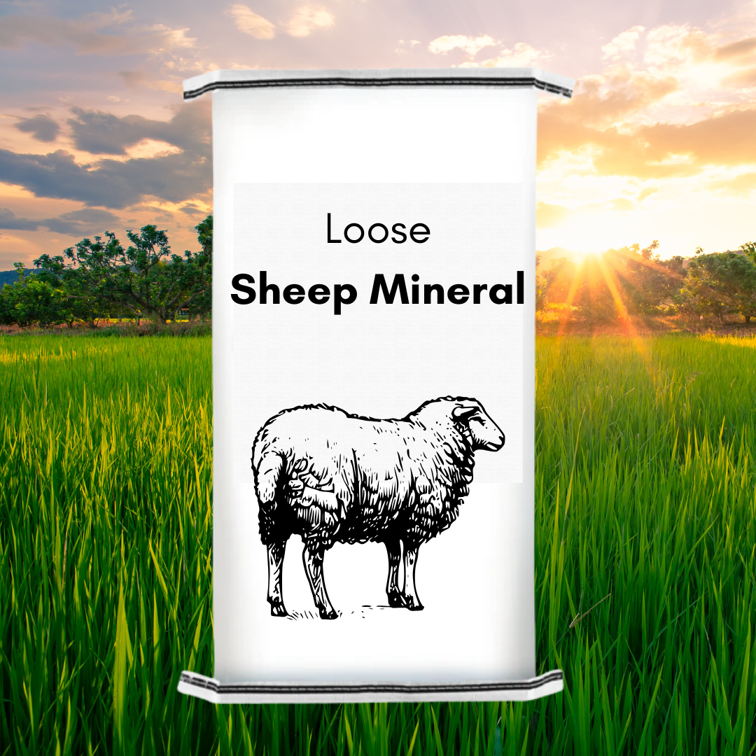 Supreme Sheep pride Loose Mineral 20kg