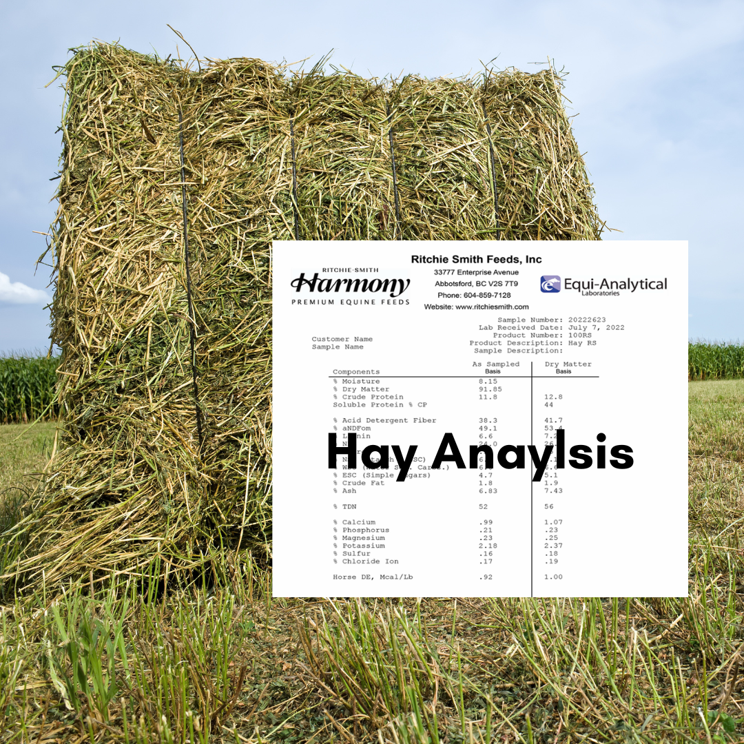 Equine Hay Analysis NIR Scan