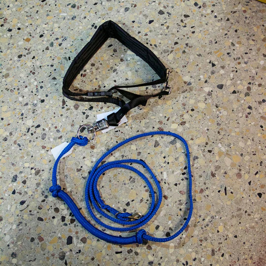 Gangline 12' with Bungee Skijoing