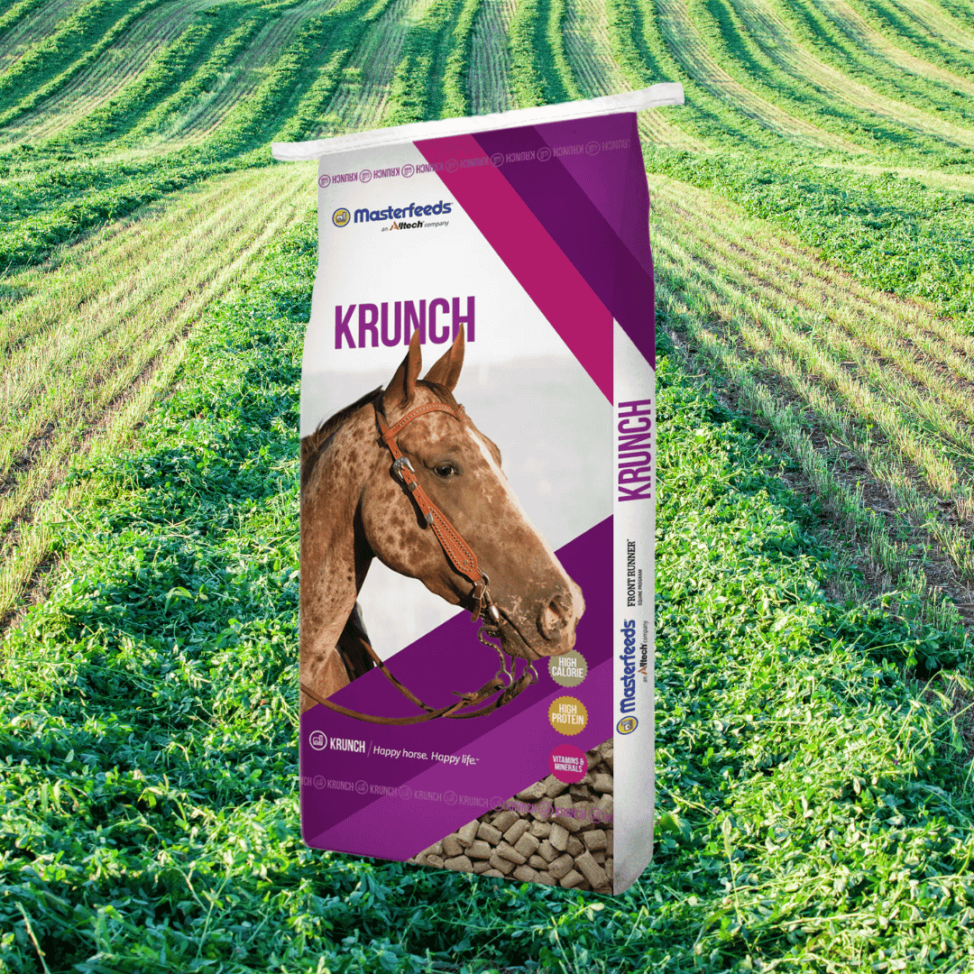 Masterfeeds Front Runner Krunch Cubes 10% 25kg