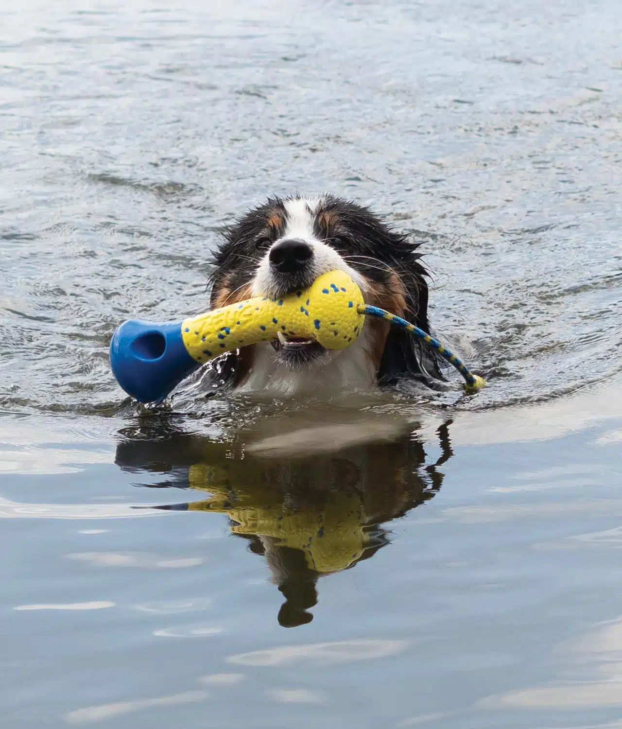 Nitro Weighted Buoy w/Rope
