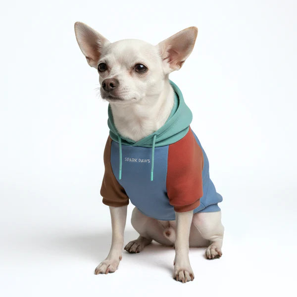 Alpine Colorblock Dog Hoodie