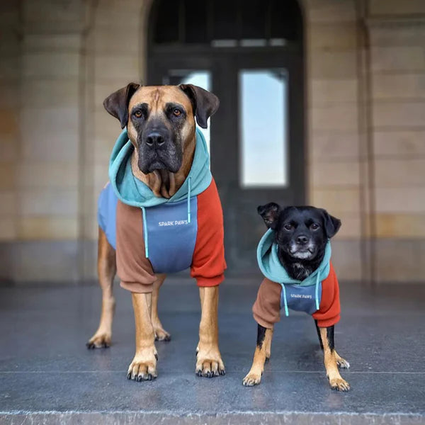 Alpine Colorblock Dog Hoodie