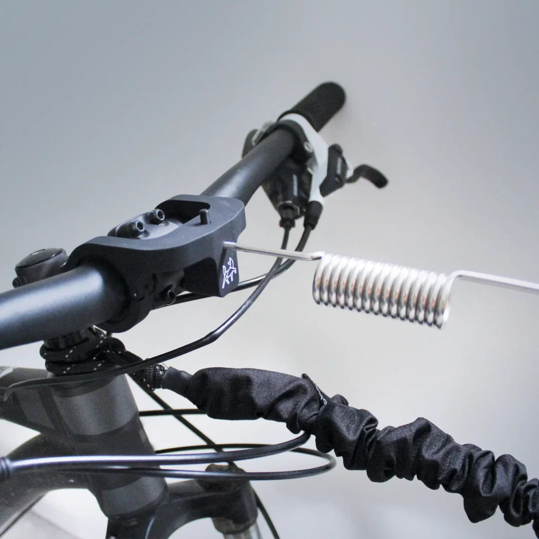 Nahak Bikejoring Antenna