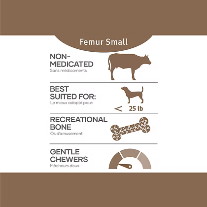 Red Dog Blue Kat Small Beef Femur