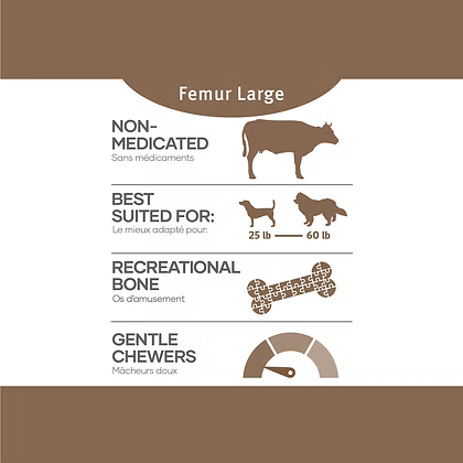 Red Dog Blue Kat Beef Femur Large