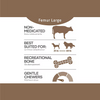 Red Dog Blue Kat Beef Femur Large