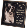 Plaque Frame - My Best Friend