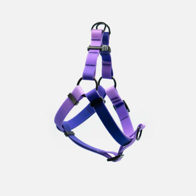 Woof Concept Harness - Small
