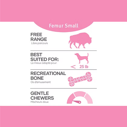 Red Dog Blue Kat Small Bison Femur