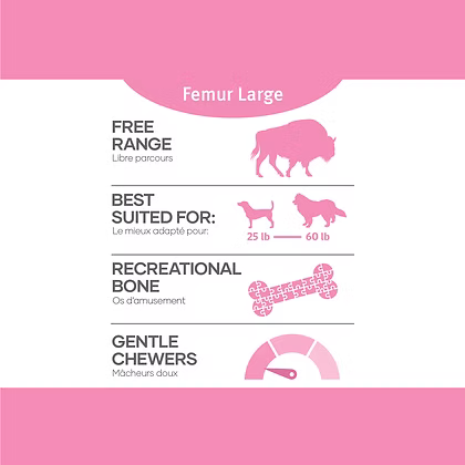 Red Dog Blue Kat Bison Femur Large