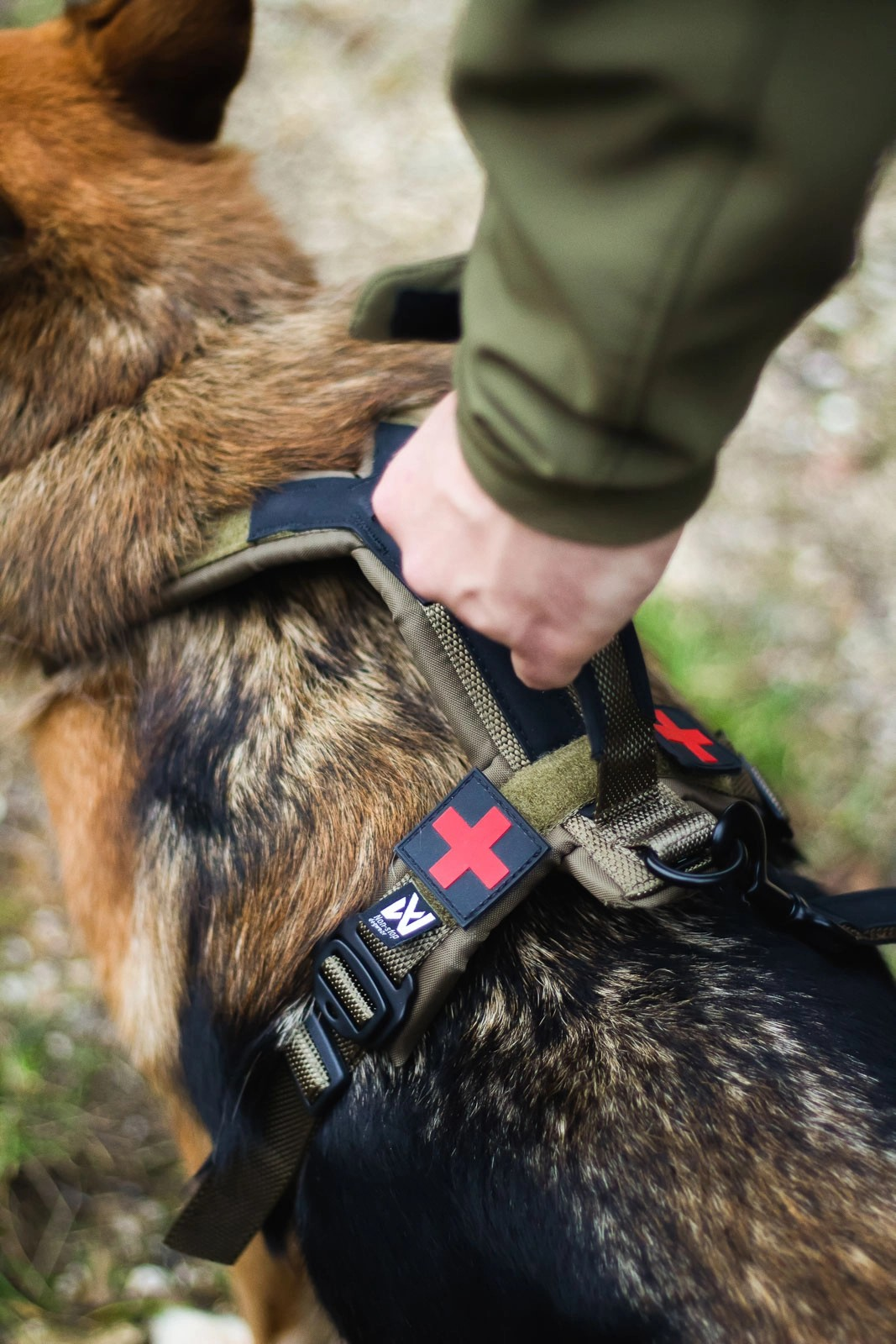 Non-Stop Dog Wear Line Harness Grip WD – CanvasbackPets Non-Stop Dog Wear Line Harness Grip WD – CanvasbackPets
