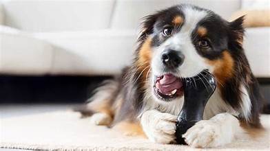 ChewChasers Rubber Peanut Lrg