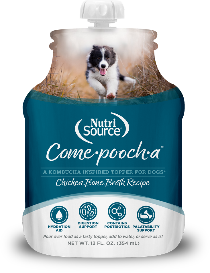 Come-Pooch-A Bone Broth 12oz