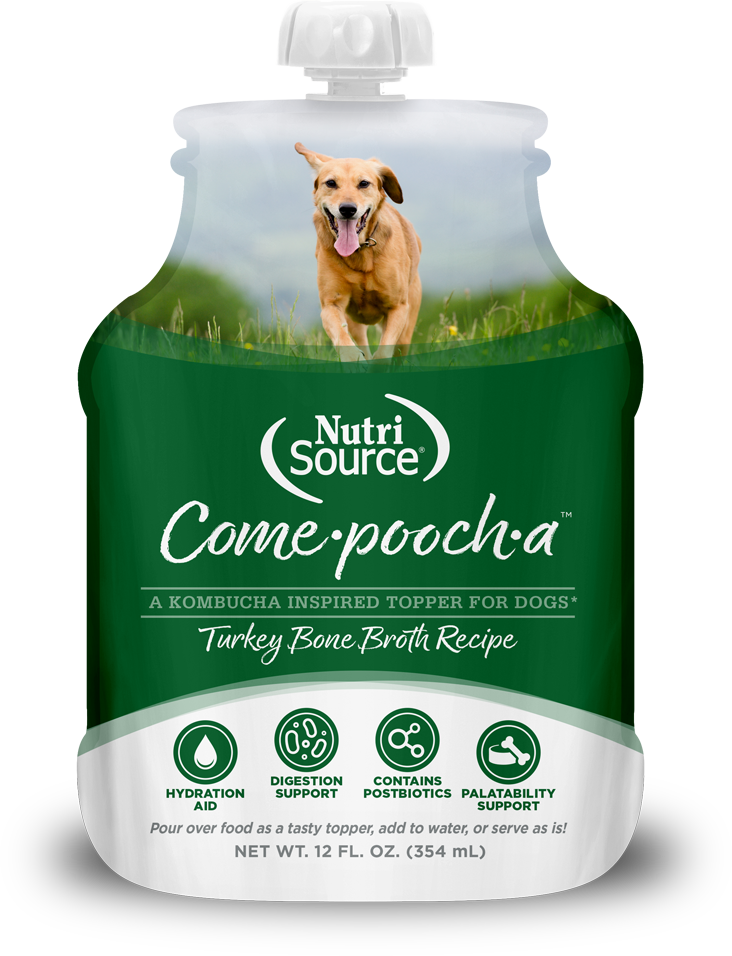 Come-Pooch-A Bone Broth 12oz