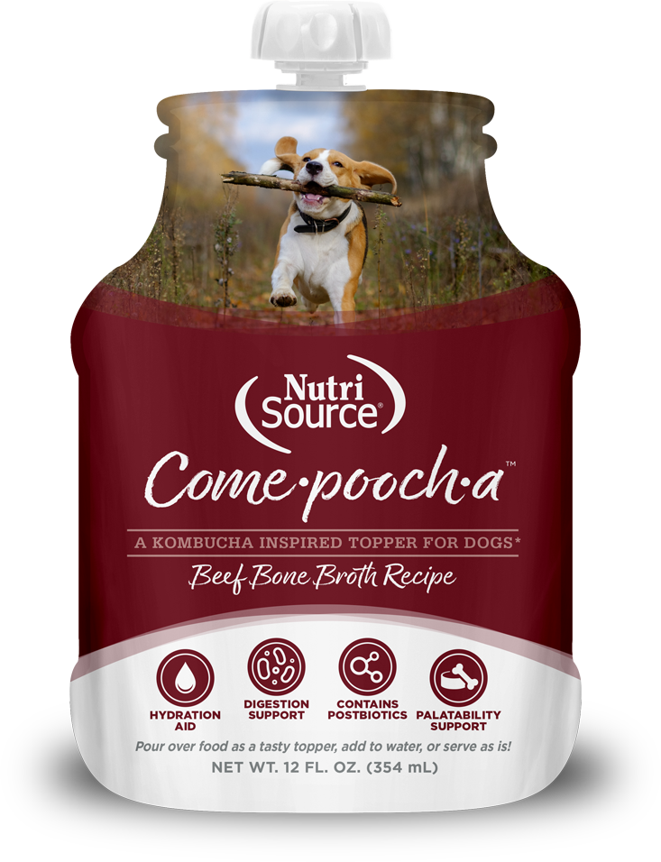 Come-Pooch-A Bone Broth 12oz