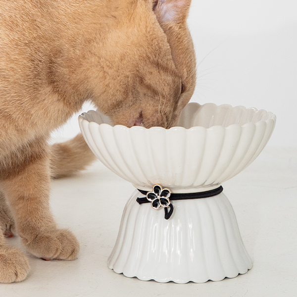 Dexy Elevated Cat Bowl Flowers