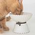 Dexy Elevated Cat Bowl Flowers