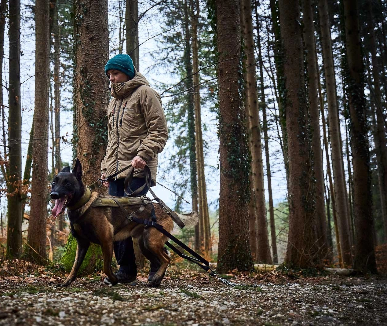 Non-Stop Dog Wear Freemotion Dog Harness WD