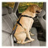 Kurgo Seatbelt Tether w/Carbiner