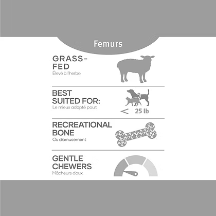 Red Dog Blue Kat Lamb Femur 4pk