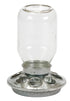 Chick Feeder Mason Jar Glass
