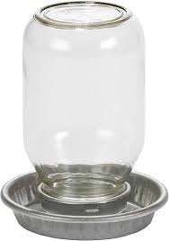 Chick Waterer Mason Jar Glass
