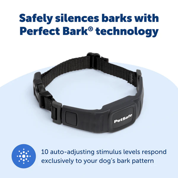 NanoBark Collar Small Dog