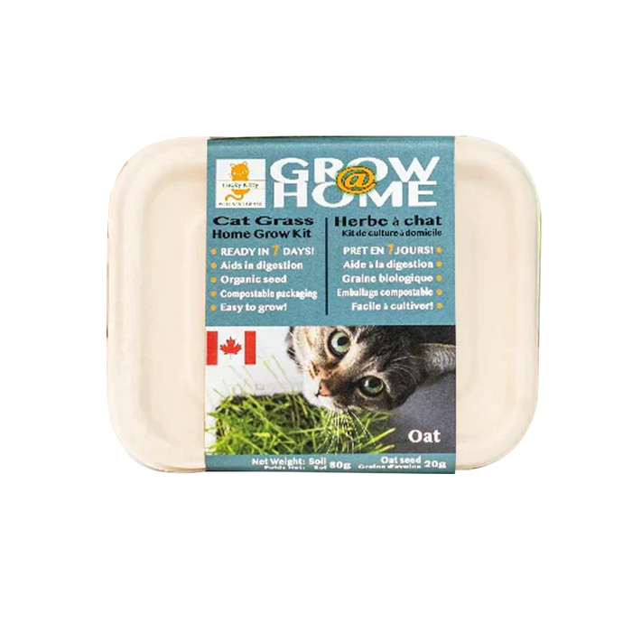 Grow at Home Cat Grass Kit 80g