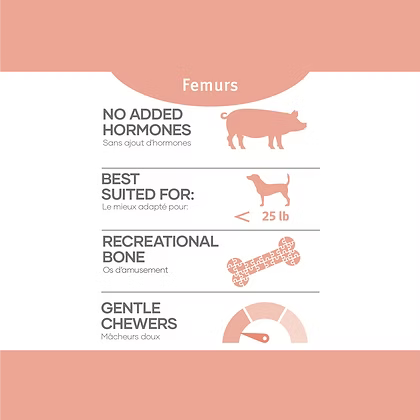 Red Dog Blue Kat Pork Femurs 2pk