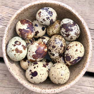 Quail Eggs 18 Count Big Country Raw