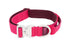 RC Stratus Collar XLarge